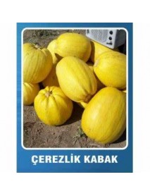 Çekirdeklik Kabak Tohumu 100gr 